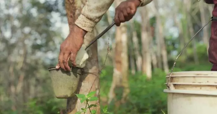 Malaysian rubber output faces sharp decline amid various odds