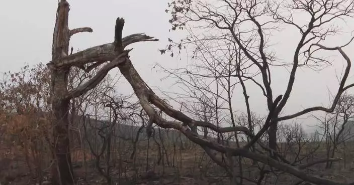 Wildfires harm Brazilian national park, tourism takes hit