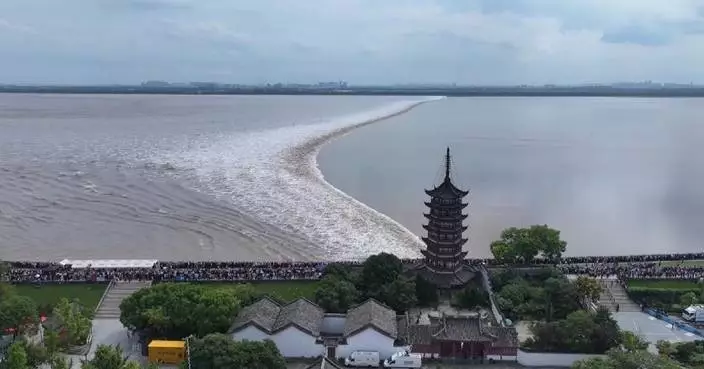 Spectacular tidal bore on Qiantang River wows viewers