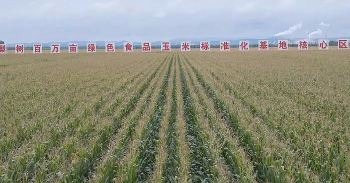 New method developed for protecting fertile black soil in northeast China