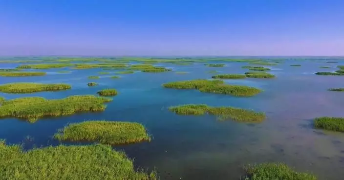 Shandong Province makes strides in water resources protection