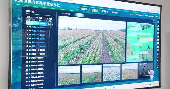 Satellites help China&#8217;s grain producing county safeguard food security, advance agricultural modernization