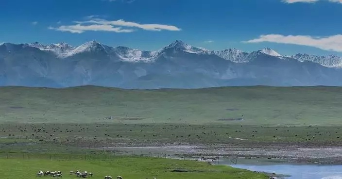 Young rangers guard wildlife in Chinese national park