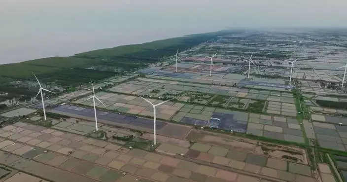 Chinese renewable energy technology advances green transition in Malaysia, Vietnam