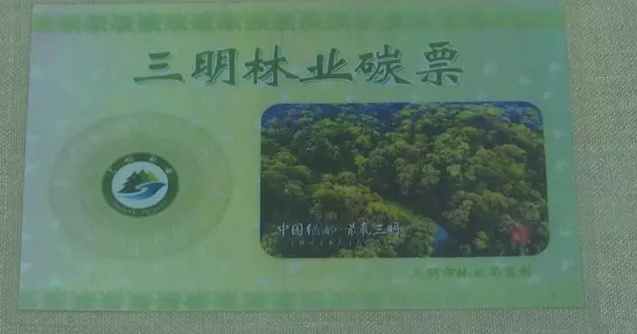 Carbon credit stamps generate income for afforesting villagers three years on