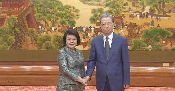 China&#8217;s top legislator meets Cambodia&#8217;s National Assembly president