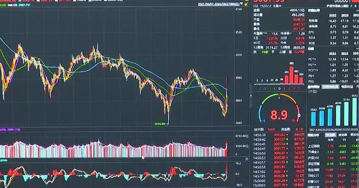 Chinese stocks rally after stimulus measures