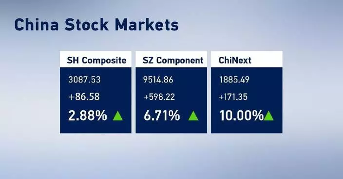 Chinese stocks rally as experts highlight economic optimism