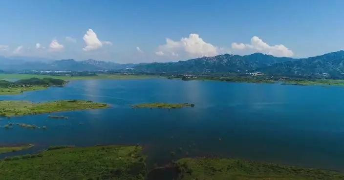 Beijing's air quality sees major improvement as conservation efforts pay off