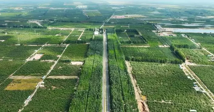 Xinjiang&#8217;s Kekeya becomes green miracle in China&#8217;s largest desert