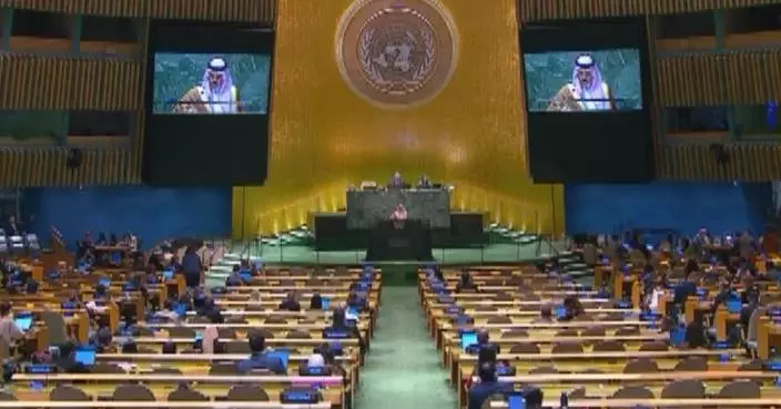 FMs of Saudi Arabia, Egypt, Indonesia call on int&#8217;l community to recognize State of Palestine at UNGA