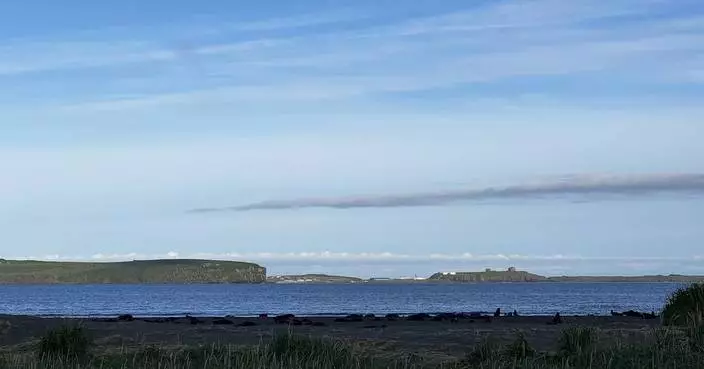 Why an Alaska island is using peanut butter and black lights to find a rat that might not exist