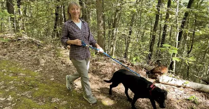 Dogs bring loads of joy but also perils on a leash