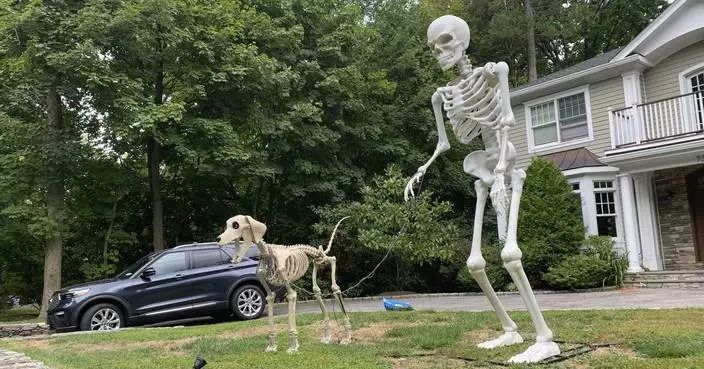 Halloween superfans see the culture catching up to them. (A 12-foot skeleton helped)