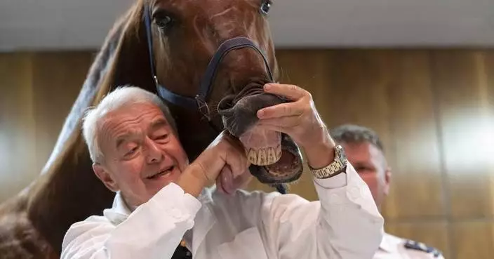 No neigh-sayers: Live horses join first-day veterinary students for anatomy lecture in Hungary