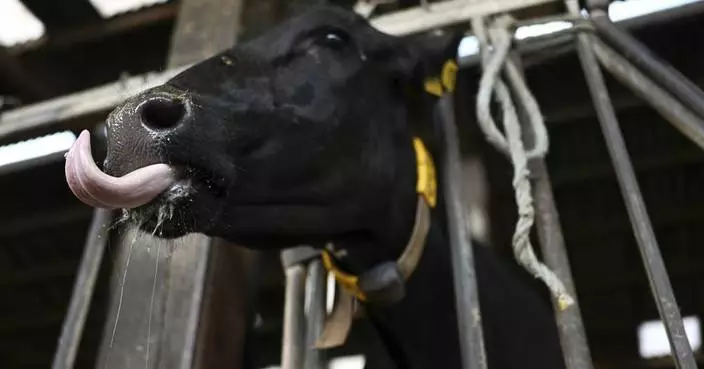 Norway reports first cases of bluetongue disease in livestock since 2009