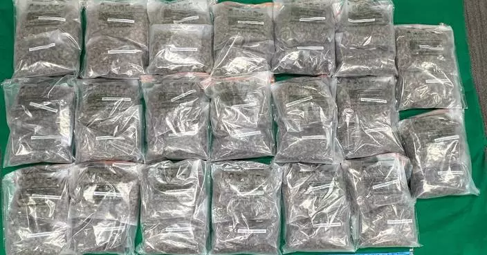 Hong Kong Customs Seizes 27kg of Cannabis, Arrests Three in Major Drug Operations