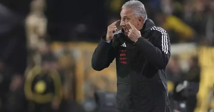 Former Brazil coach Tite fired at Flamengo, Filipe Luis to replace him