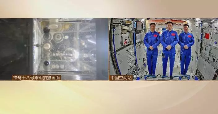 Shenzhou-18 crew share progress on self-sustaining fish ecosystem in space