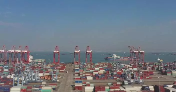 Efficient customs clearance spurs cold chain logistics in Guangdong FTZ