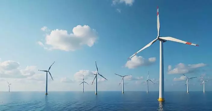 Fujian&#8217;s wind power industry contributes to national green development