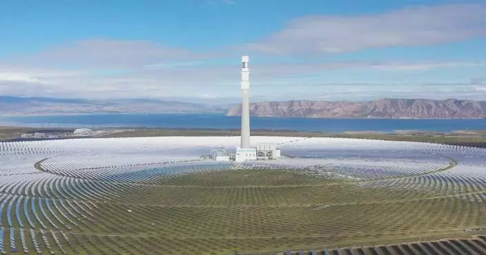 Solar farm in Qinghai improves local ecosystems, economies