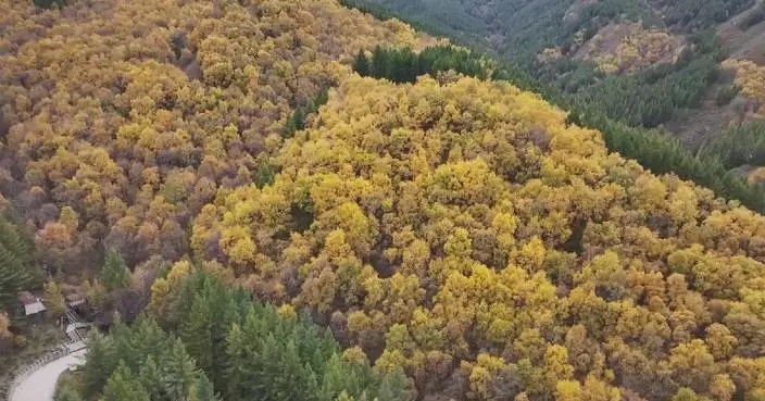 Golden landscapes, vibrant rural tourism light up China during National Day holiday