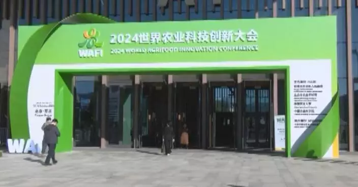 Global experts in Beijing explore strategies to realize low-carbon agrifood systems