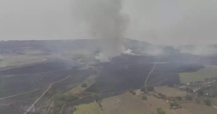 Wildfire in Sao Paulo&#8217;s reserve causes massive burns of animals