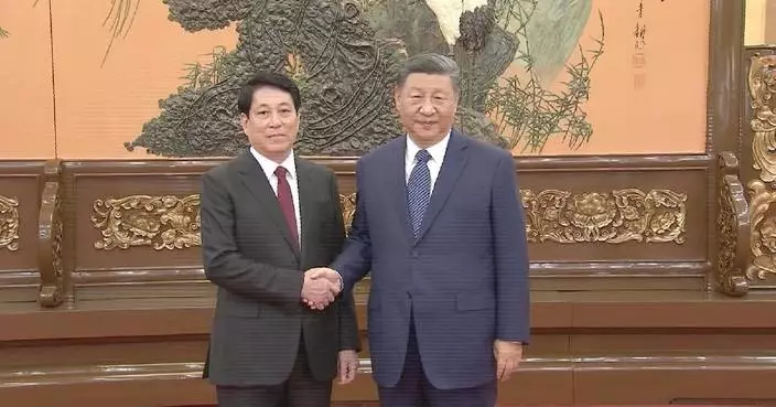 Xi meets senior Vietnamese official