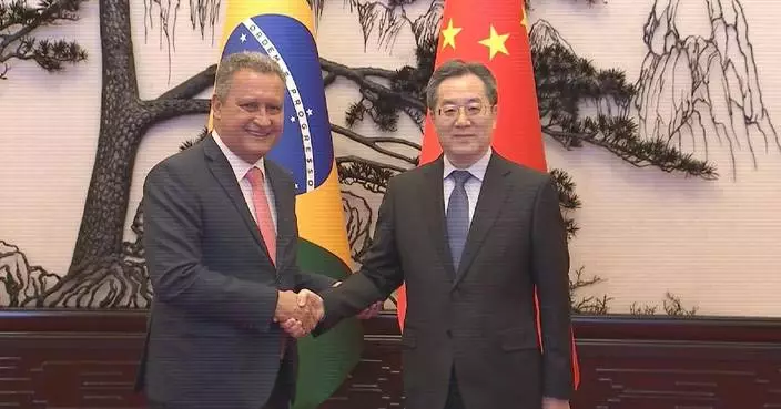 Chinese vice premier meets with senior Brazilian, British officials