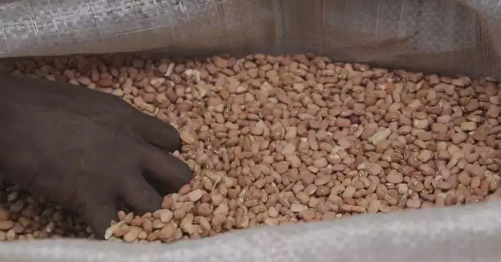 Rising bean prices exacerbate food insecurity in Nigeria