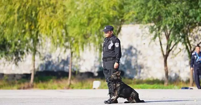 National police dog skill competition showcases well-trained top breeds in China