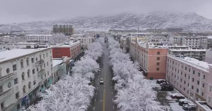 Emergency responses triggered as snow hits parts of Xinjiang