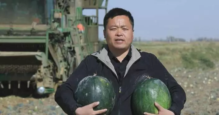 Watermelon-planting in China's largest desert helps sand control, boosts incomes