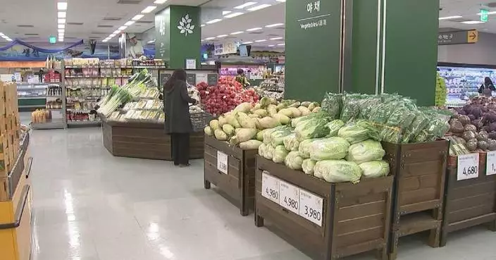 Household, restaurants feel price squeeze as cost of napa cabbage soars in South Korea