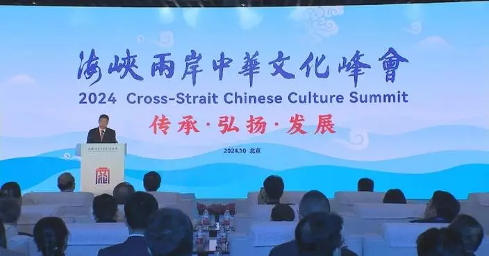 Attendees to cross-Strait summit emphasize shared root of Chinese culture