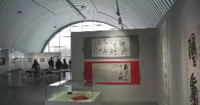 Calligraphy museum in Russia showcases diverse cultures across Asia