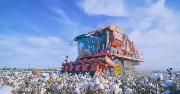 Xinjiang finishes over half of cotton picking thanks to advanced cotton pickers