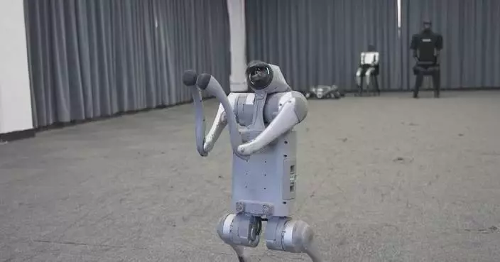 China&#8217;s quadruped robot industry focuses on battery duration, intelligent proficiency: insiders