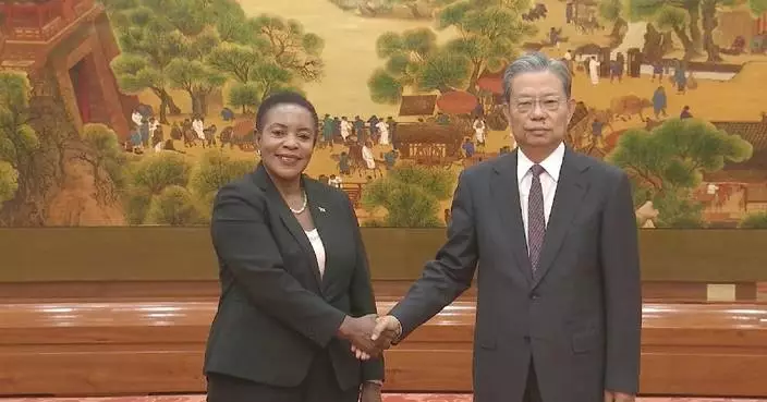 China&#8217;s top legislator holds talks with speaker of Zambia&#8217;s National Assembly on relations