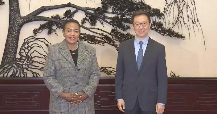 Chinese vice president meets with Zambian National Assembly speaker