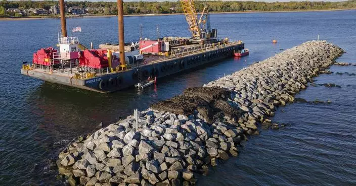 These artificial reefs off a New York City beach help sea creatures. They might also save lives