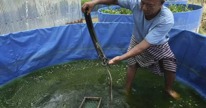 Cambodian fishermen turn to raising eels as Tonle Sap lake runs out of fish