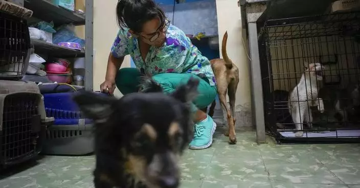 Cubans searching for a better future leave their pets behind