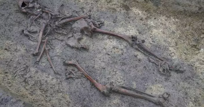 50 well-preserved Viking Age skeletons unearthed in Denmark