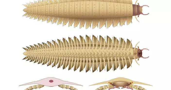 Scientists recreate the head of this ancient 9-foot-long bug