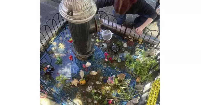 An abrupt goodbye to a guerilla goldfish aquarium beneath a leaky Brooklyn fire hydrant