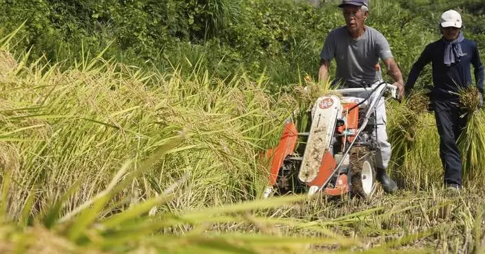 Aging farmers face extreme temperatures as they struggle to maintain Japan&#8217;s rice crop