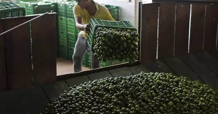 Mexico sends 660 soldiers, National Guard to protect lime growers suffering extortion by cartels